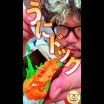 うにドック　#Shorts　#うに　#ドック　#乗せるだけ　#簡単　#料理　#レシピ