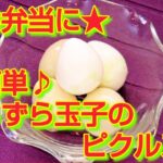 ★レシピ動画★お弁当に☆簡単♪うずら玉子のピクルス★【hirokoh(ひろこぉ)のおだいどこ】