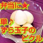 ★レシピ動画★お弁当に☆簡単♪うずら玉子のピクルス★【hirokoh(ひろこぉ)のおだいどこ】