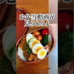 【今日のお弁当だよ】ドライカレー弁当#shorts