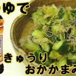 麺つゆに頼ろう！『たたききゅうりの旨漬け』おかかまみれ！ポリポリ止まらない！料理 レシピ 簡単