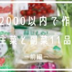 【家計お助けレシピ前編】お肉メインの主菜【５品】