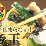 最高のメインディッシュ！ごはんが止まらないニラ玉【上海料理 孫特家　孫関義オーナーシェフ】のレシピ