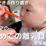 【簡単にできる!】はじめての離乳食作り【野菜ペースト】