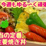 【お弁当】定番おかずでのっけ弁🍱豚の生姜焼き丼