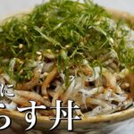 【至極王道】美味しい丼ものが出来ました。タレはあれを使って下さい。/焼き肉のタレ/しらす/丼もの/家庭料理/節約/丼ぶりレシピ/健康/バズレシピ/基本の料理/野菜/白ネギレシピ/節約レシピ