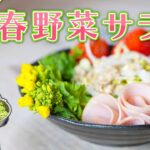 【簡単】春野菜のサラダ作り方｜春野菜と山菜を使った栄養満点サラダレシピ