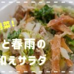 【簡単★副菜】風邪の予防・症状抑制！白菜と春雨のツナ和えサラダ