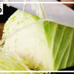 【あなたはどっち派？】キャベツ vs レタスレシピ BEST10【リクエスト】