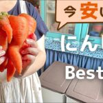 【家計応援】節約おすすめ作り置き|10分以内かんたんレシピ