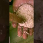 こりゃバズるぞ、100均のハンドル野菜カッターでハンバーグ