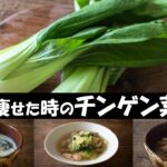 【低脂質】春は白菜よりチンゲン菜『野菜スープ』20㎏痩せた時のレシピ【クリーム煮】【麻婆チンゲン菜】【和風スープ】