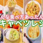 【キャベツレシピ8品】美味しいキャベツ美味しく食べつくせるレシピ盛り沢山！ #キャベツレシピ #漬物 #金平 #カレー #ラペ #ミートソース #巾着 #シュウマイ #野菜炒め #お弁当 #簡単レシピ