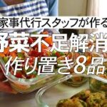 【概要欄にレシピ付き】野菜不足解消!家事代行スタッフによる作り置き8品