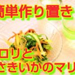 ★レシピ動画★お弁当やおつまみに🍺簡単作り置き♪セロリとさきいかのマリネ★【hirokoh(ひろこぉ)のおだいどこ】