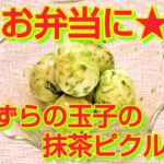 ★レシピ動画★お弁当に☆簡単♪うずら玉子の抹茶ピクルス★【hirokoh(ひろこぉ)のおだいどこ】