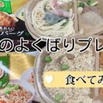 冷凍のお弁当【よくばりプレート】食べてみた/和風おろしハンバーグ&香味醤油スパゲティ/鶏めしとチキン南蛮