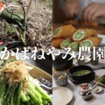 【農家のレシピ】メイン〜副菜まで！万能なアスパラで４品！