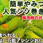 これは流行る【やみつきシソ巻き寿司】簡単めちゃ美味い！お弁当最高おにぎり/大葉大量消費レシピ/免疫力アップ健康アンチエイジング