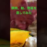 【簡単レシピ】豚肉、鮭、野菜などを蒸し、ポン酢、ごまだれなどで食す#簡単レシピ #料理初心者 #自炊レシピ #時短レシピ #ずぼら飯