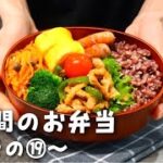 【１週間分のお弁当⑲】今週のおべんとう／引っ越してすぐの簡単お弁当作り【作り置き活用】