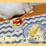 新玉ねぎ副菜レシピ【小枝のお料理日記】