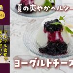 【罪悪感ゼロ!】まるでレアチーズケーキ♡混ぜて冷やすだけ「ヨーグルトチーズゼリー」~夏の簡単ヘルシースイーツ-143-