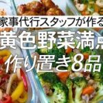 【概要欄にレシピ付き】緑黄色野菜満点!家事代行スタッフによる作り置き8品