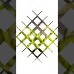 #81お隣さんからお野菜一杯貰った日の４０歳腸活主婦１日のご飯とおやつ