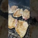 Pork Rice【1minute Camping Cooking】#shorts