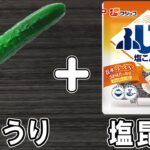 【お弁当おかず】キュウリと塩昆布でやみつききゅうりのお漬物！ごま油でコクもアップ！冷蔵庫にあるもので簡単おいしい節約料理レシピ/旦那弁当/毎日弁当/きゅうりレシピ/bento【あさごはんチャンネル】