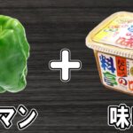 【お弁当おかず】ピーマンの味噌炒めの簡単レシピ!冷めても美味しいおかずの作り方!冷蔵庫にあるもので簡単おいしい節約料理/旦那弁当/毎日弁当/ピーマンレシピ/作り置きレシピ/bento