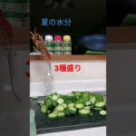 【きゅうりざんまい】#shorts #季節の野菜 #畑初心者 #週末の楽しみ#キッチン好き#つまみ食い