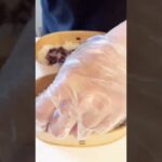 【お弁当作り】妻の誕生日🎉夫が作るお弁当🍱　#shorts