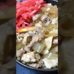 【豚丼】これ、豚丼だよ〜。