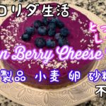 【ヴィーガン】ベリーのヴィーガンカシューチーズケーキ🍓🫐私のとっておきレシピ！ヴィーガンカカオソース🇺🇸人気スーパー トレジョの商品使用✨