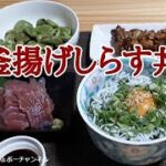 簡単おいしい!「釜揚げしらす丼」の作り方【おしょぶ~のレシピ】