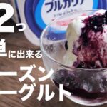 【超なめらか】ブルガリアヨーグルトで簡単に作るアイスの作り方とレシピ【フローズンヨーグルト】