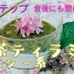 抹茶　ティラミス　時短レシピ