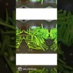 牛丼、ニラ玉お弁当