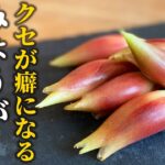 【みょうがレシピ３選】料理屋が教える！薬味野菜をメインで美味しく食べられる調理法【基本の和食】