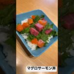 マグロサーモン丼