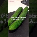【箸が止まらない!?】「やみつき」きゅうり秘伝のレシピを公開!