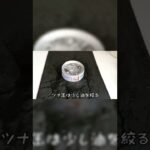 【キッチン】暑い日にピッタリ🎐 ツナトマトおろし素麺 #かんたんレシピ #レシピ #ソーメン #素麺 #料理好きと繋がりたい