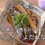 【とろとろ！やみつきよだれなすの作り方】お酒のおつまみにもおすすめ！！簡単作り置き副菜