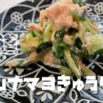 【ツナマヨきゅうり】の副菜