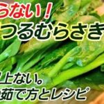 やみつき無限つるむらさき。副菜2品。健康レシピ。夏のパワー野菜。ツルムラサキ茹で方。簡単定番おひたし。主菜卵炒め。