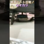 【なす週間！】【2日目】サックサクの衣とジューシーなす！メインでいけるなすカツ！【Eggplant week】#shorts