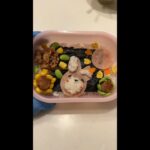 【一学期最後のお弁当33】お父さんが作るお弁当〜お昼に娘へ元気を届ける〜 #shorts #お弁当 #お弁当記録