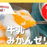 【牛乳みかんゼリー】人気レシピ❗️簡単な作り方♪作業時間5分❗️スピード料理❗️夏のデザート☆濃厚ミルクゼリー